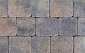 tegula bracken