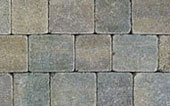 tegula cedar