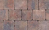 tegula heather