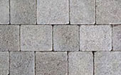 tegula natural