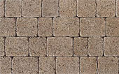 tegula sett golden