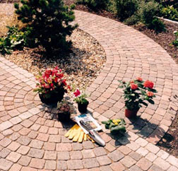 tegula sett path