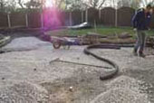 sub-base and drainage installation