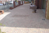 large tegula drive